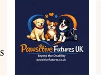 Changing the Narrative on Disabled Dogs: Ability Beyond&nbsp;Disability